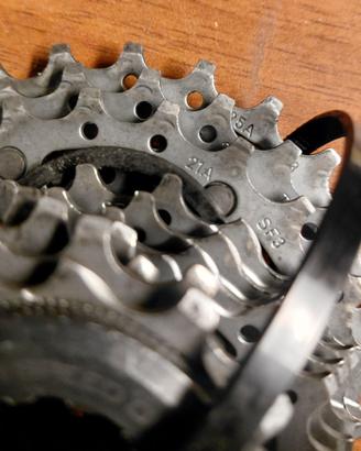 CAMPAGNOLO CHORUS