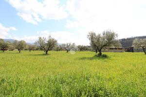 TER. RESIDENZIALE A MONTALTO UFFUGO