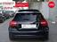 Immagine 10