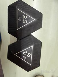 Pesi con protezione di gomma  2,5 kg