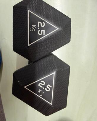 Pesi con protezione di gomma  2,5 kg