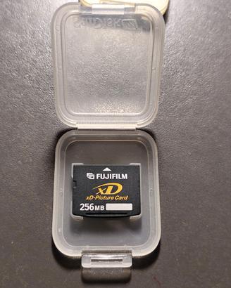 scheda XD Olympus da 256 mb