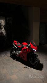 Panigale v2 2026