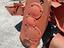 Immagine 12