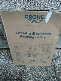 Cassetta wc incasso Grohe