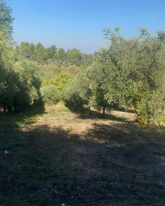 Terreno edificabile e agricolo a Crecchio