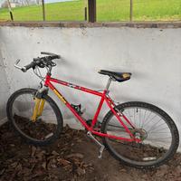 Bicicletta mtb