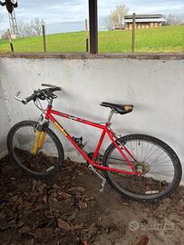 Bicicletta mtb