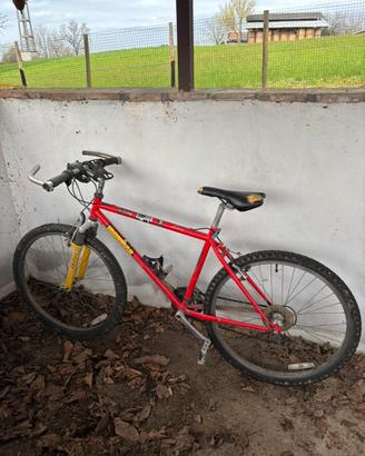 Bicicletta mtb