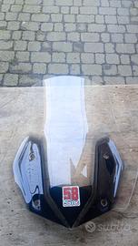 cupolino BMW GS 1200 lc