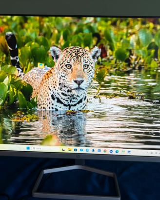 HP524 sh Monitor - Schermo da 23 8” - Ottime cond.