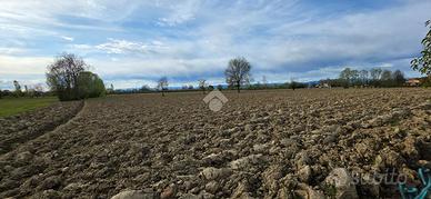 TER. AGRICOLO A SAN GIORGIO DELLE PERTICHE