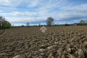TER. AGRICOLO A SAN GIORGIO DELLE PERTICHE