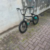 bmx whe thepeople2019