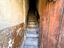Immagine 7