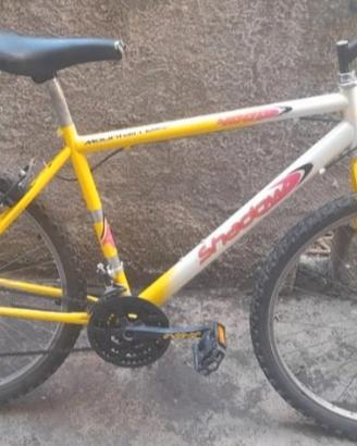 bicicletta uomo 26 pollici mountain bike