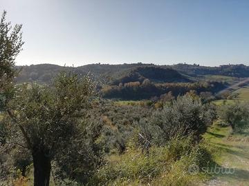 Rustico
