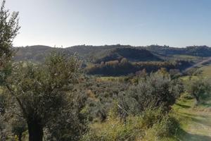 Rustico