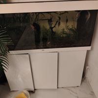 Acquario 250 litri