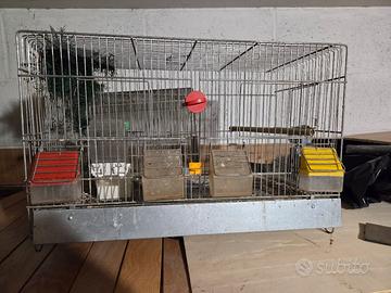 Gabbia per canarini, cocorite.