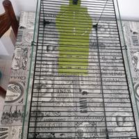 Acquario per tartarughe 