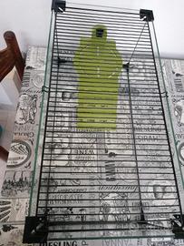 Acquario per tartarughe 