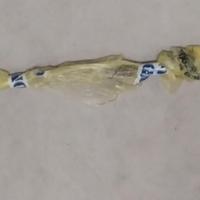 Zineffa in ferro battuto artigianale per tende