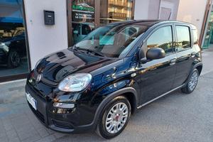 FIAT - Panda - 1.0 FireFly S&S Hybrid