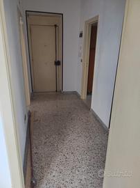 Grazioso appartamento