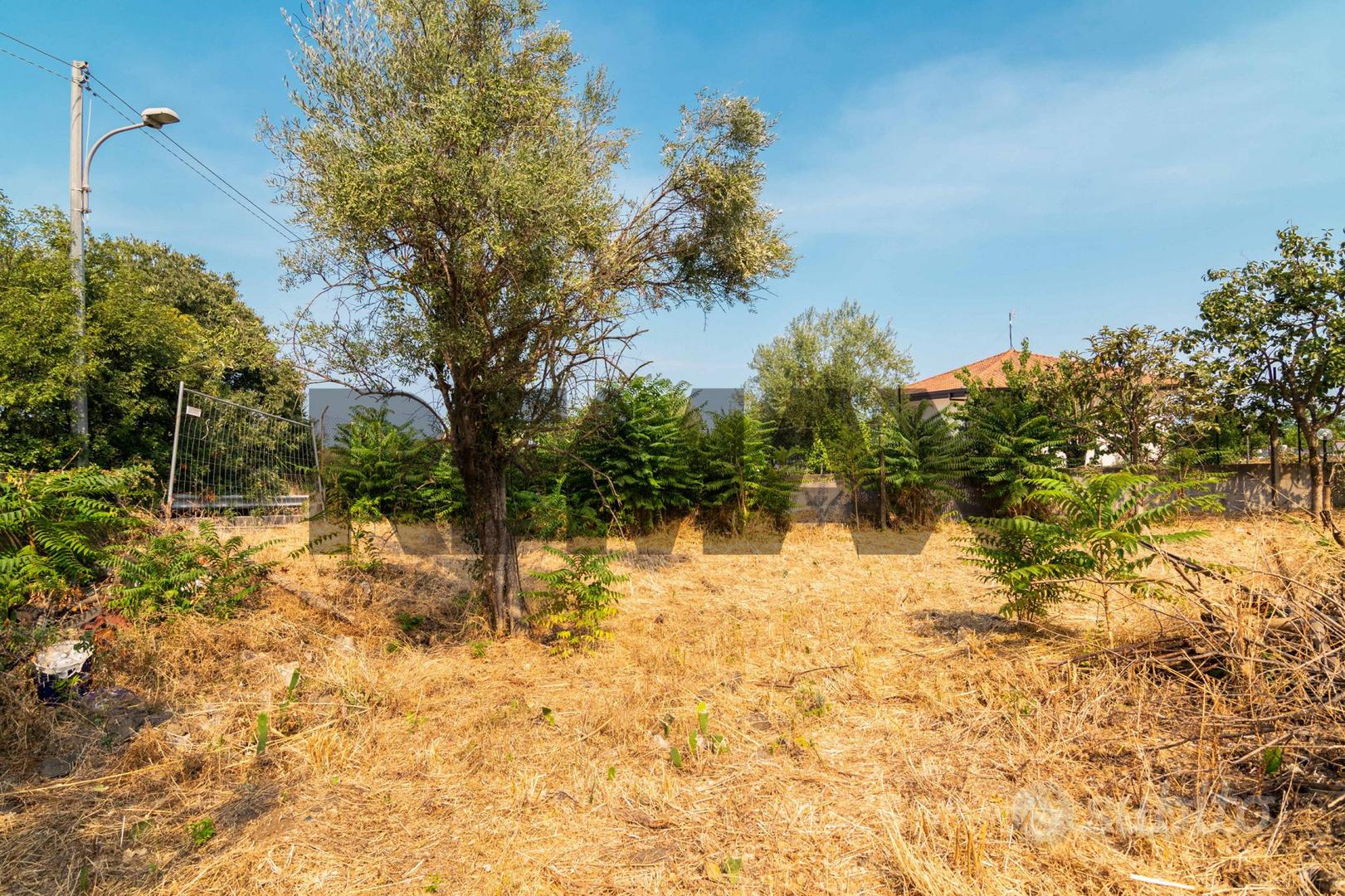 Terreno Edificabile - Acireale - Vista 4