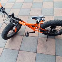 Bici ragazzino 