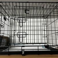 Kennel - Gabbia per cani