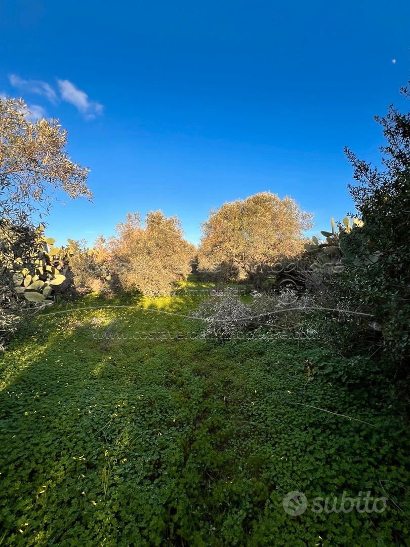 Guspini - Terreno - Vista 2