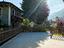 Immagine 26