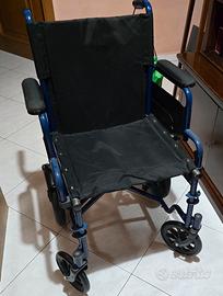 sedia a rotelle 