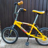 Bicicletta raggio 16