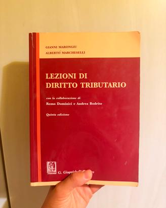 Lezioni di diritto tributario