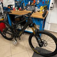 Orbea Wild M-Team 2024 TG.L
