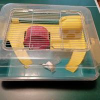 gabbietta per piccoli roditori