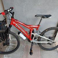 Mountain bike da ragazzo