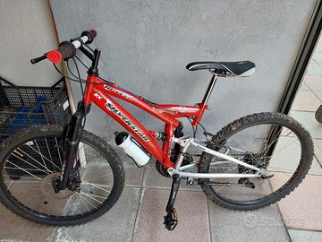 Mountain bike da ragazzo