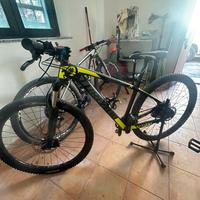 MTB TORPADO IMPUDENT RIBOT N