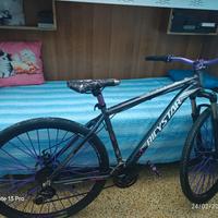 mountain-bike 