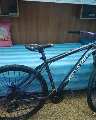 mountain-bike 