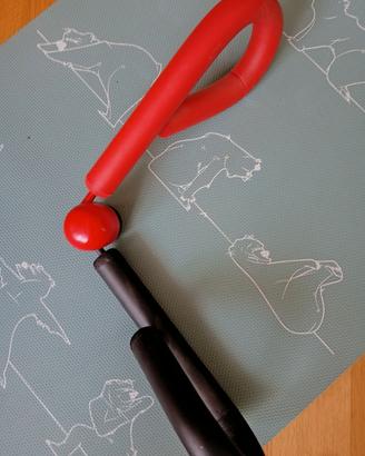 attrezzo ginnico gambe