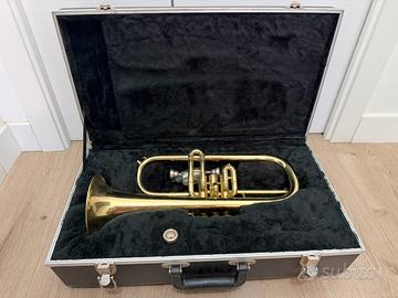 Flicorno Amati Kraslice AFH-201 in Sib