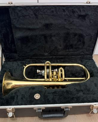 Flicorno Amati Kraslice AFH-201 in Sib
