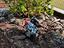 Immagine 4
