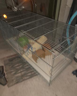 Accessori per animali