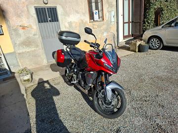 Tiger sport 660 
